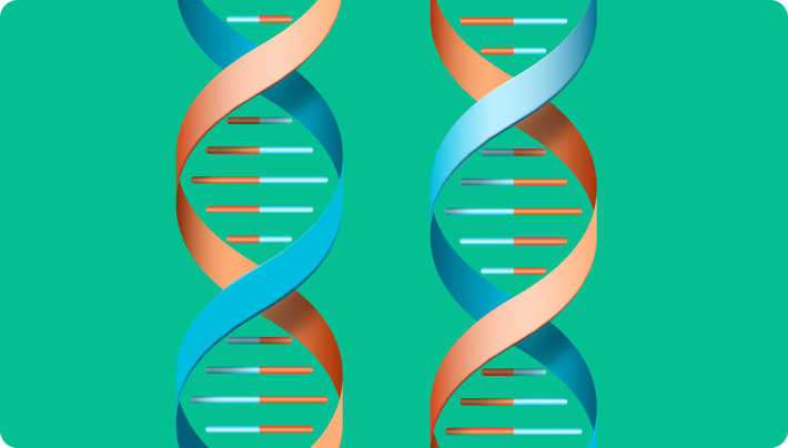 nad+ dna repair